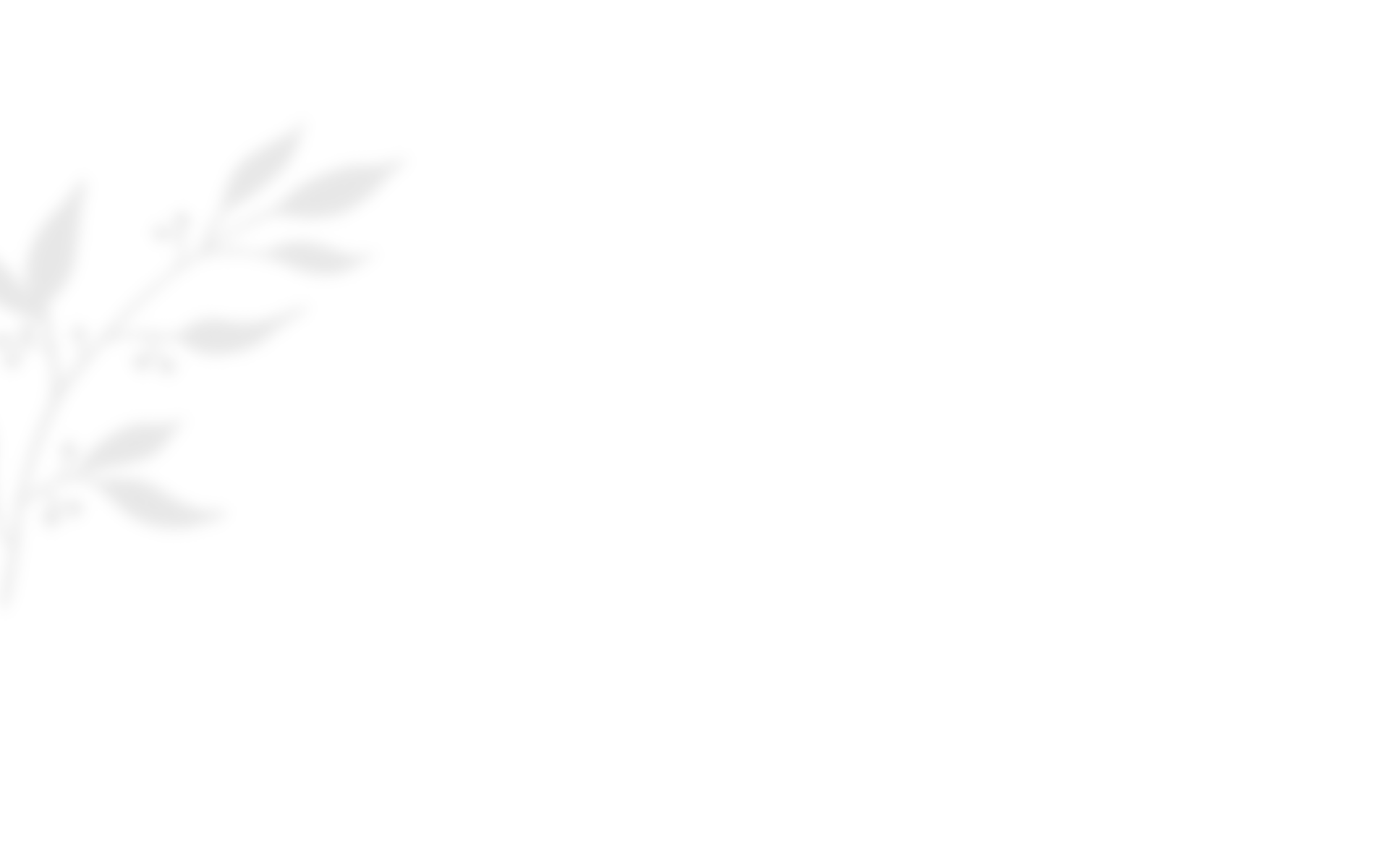 https://www.templisaquaria.com/wp-content/uploads/2020/10/shadow_leaves_03.png